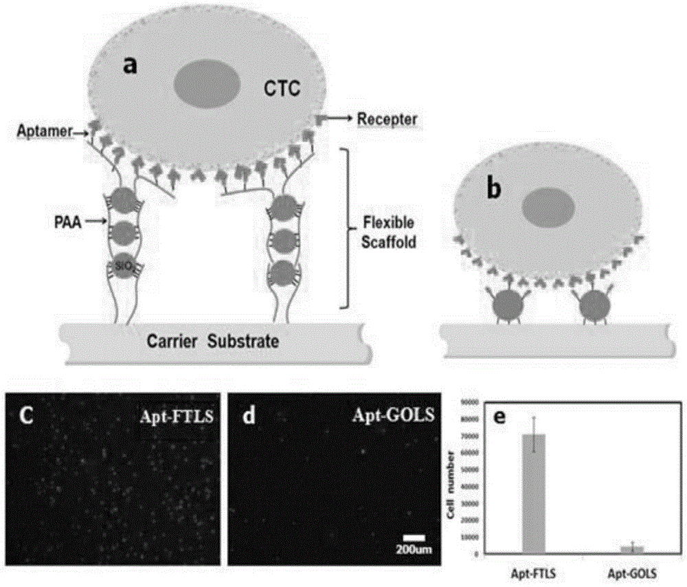 Multi-capture-ligand-modified multi-layer nanoparticle flexible stent of target cell and application of multi-layer nanoparticle flexible stent