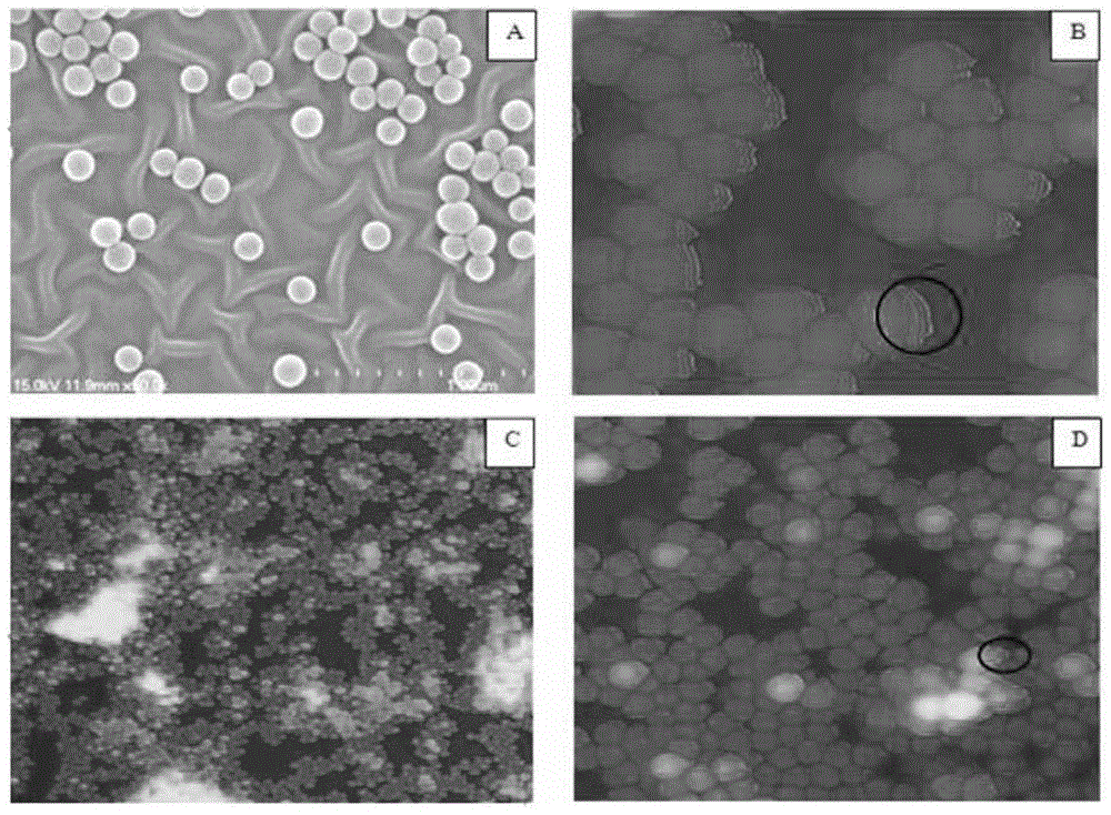 Multi-capture-ligand-modified multi-layer nanoparticle flexible stent of target cell and application of multi-layer nanoparticle flexible stent