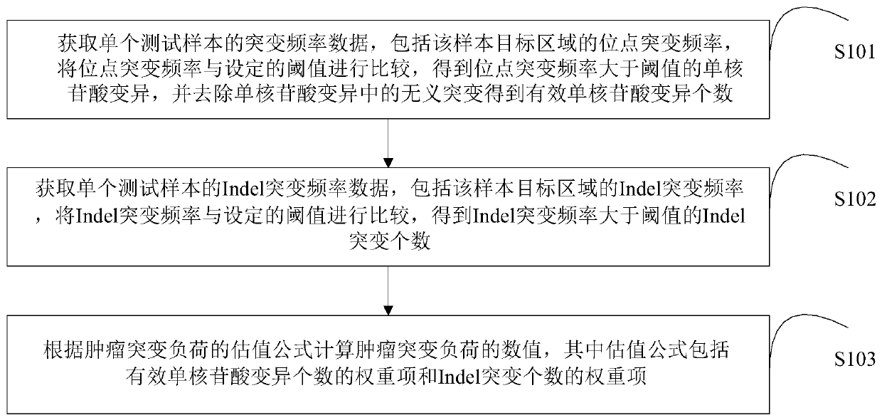 Tumor mutational load detecting method, device and storage medium