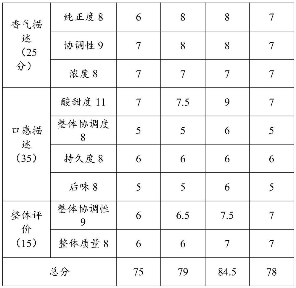 Fruit juice type soda plum syrup beverage and preparation method thereof