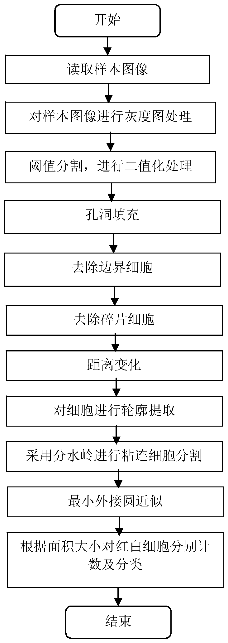 Image processing-based erythrocyte and leukocyte classification counting method, system and device