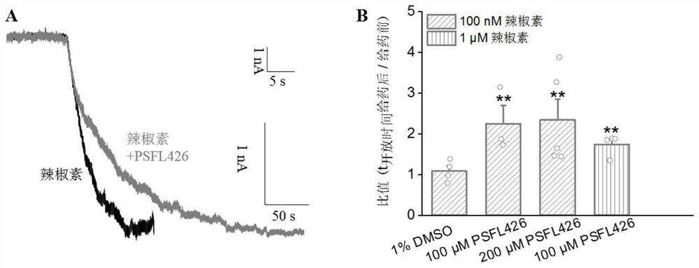 Application of TRPV1 channel targeting micromolecule