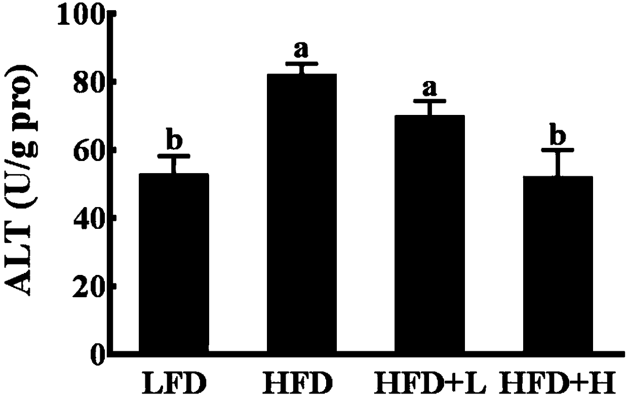 Weight-reducing application of apios americana medikus tuber ethanol extract