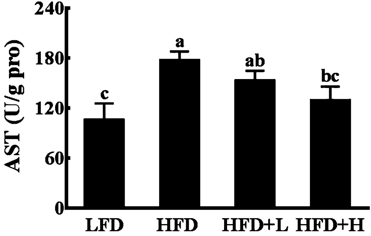 Weight-reducing application of apios americana medikus tuber ethanol extract