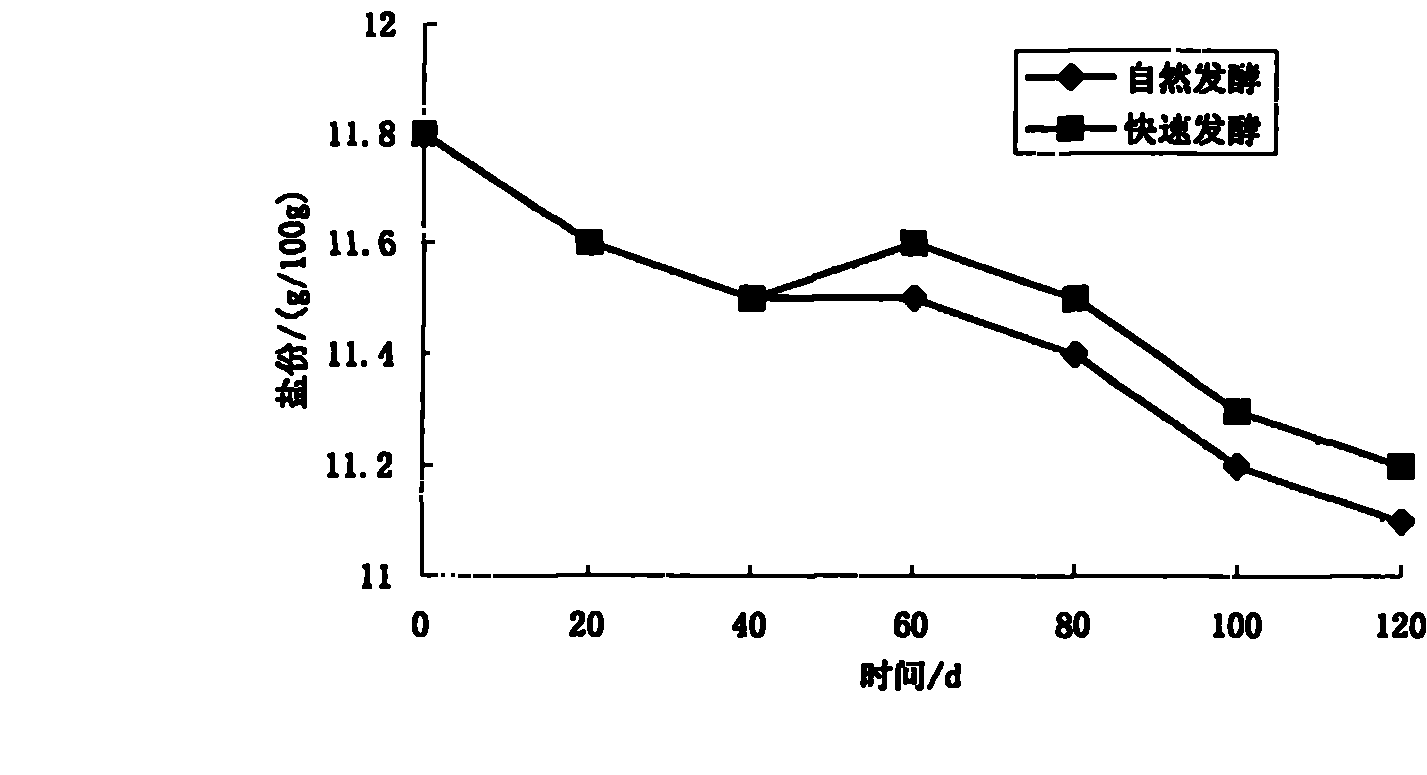 Method for preparing yibin bean sprouts by quick fermentation