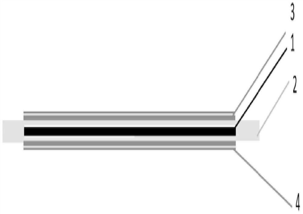 Novel negative electrode current collector, negative electrode composed of novel negative electrode current collector and lithium ion battery