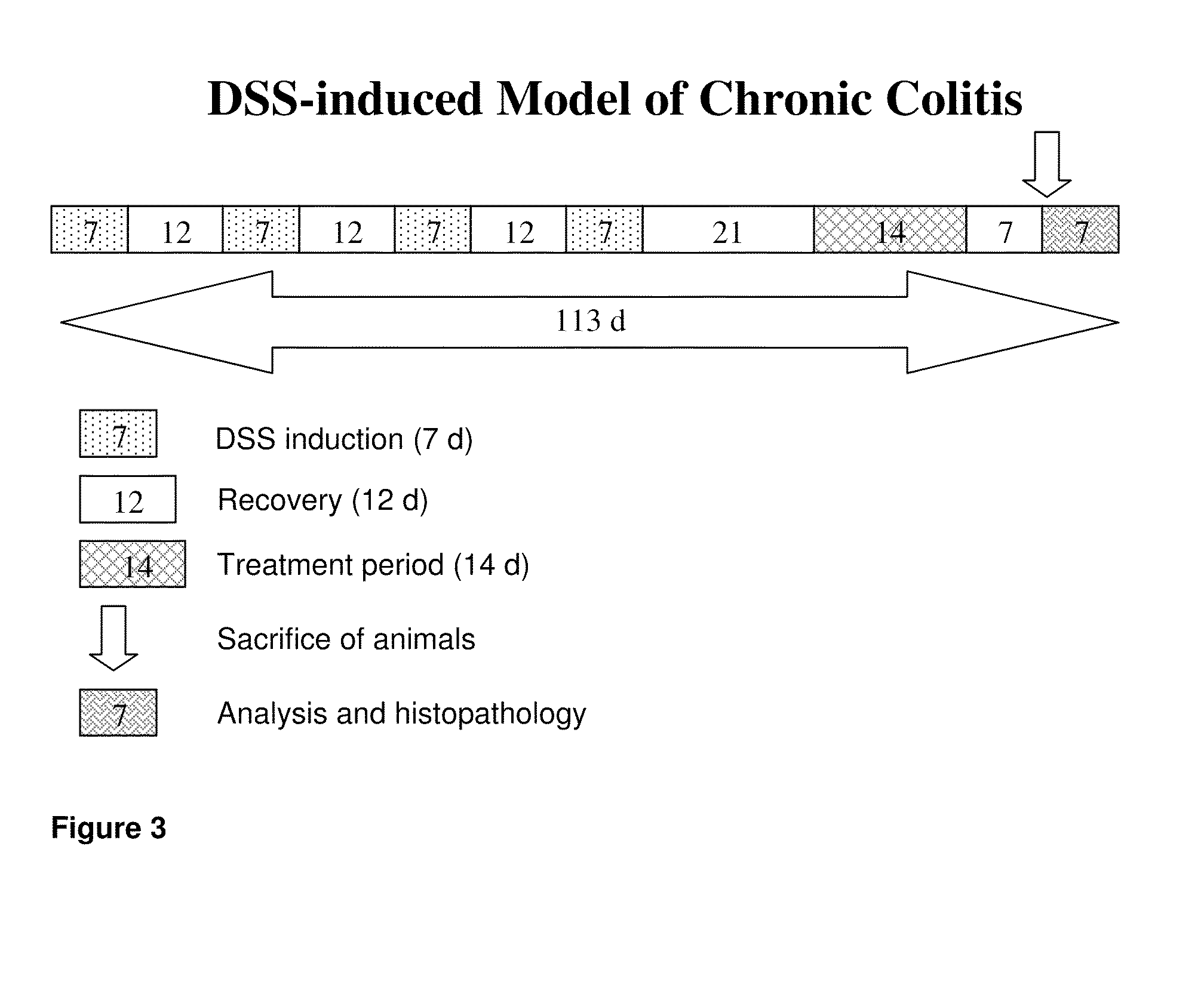 Polypeptide constructs for nasal administration