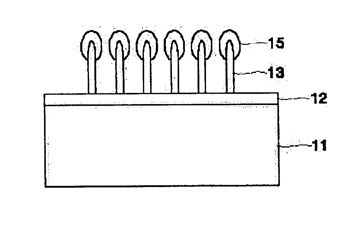 Field emitter device comprising carbon nanotube having protective membrane