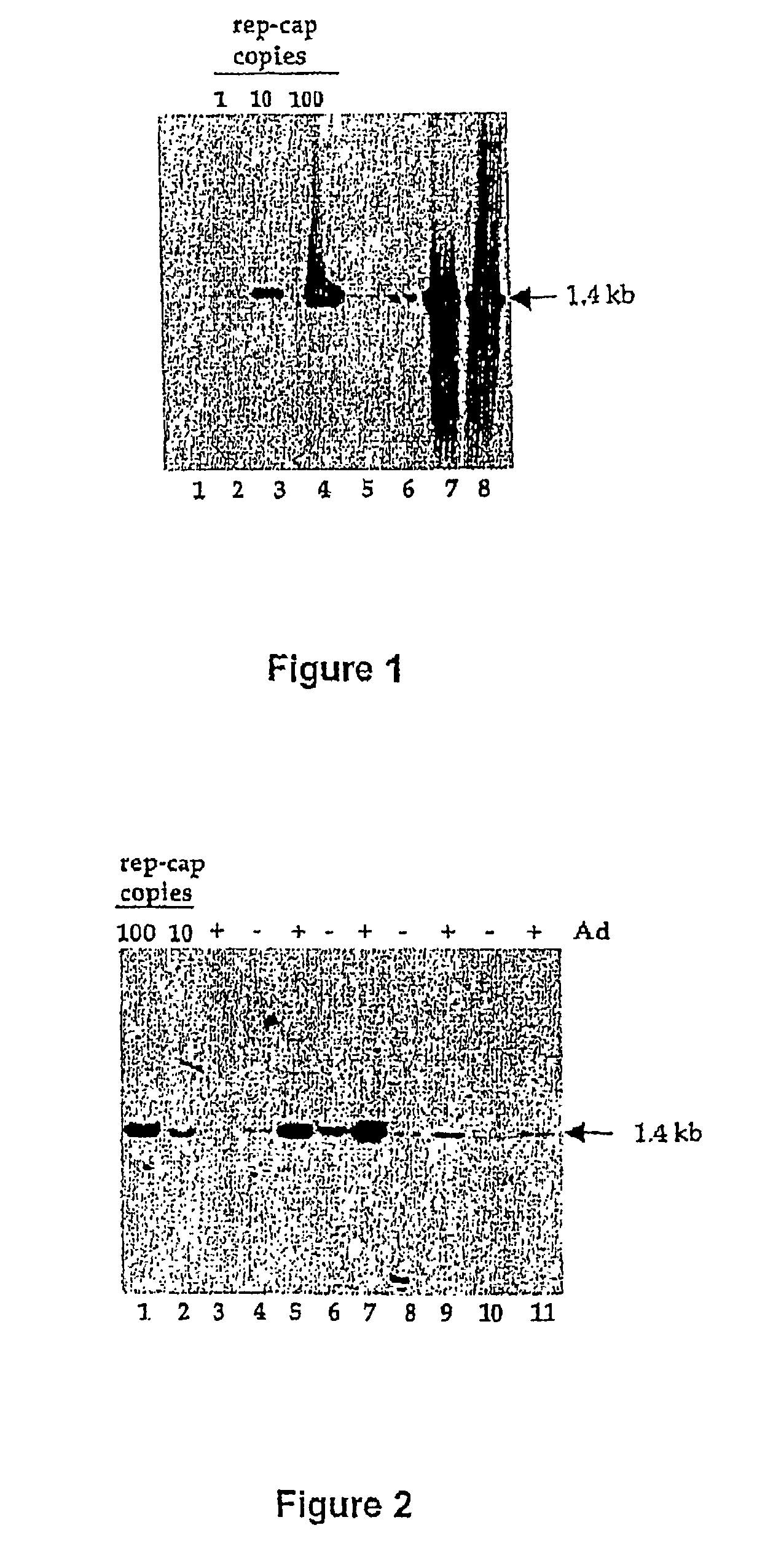 Inducible highly productive rAAV packaging cell-lines