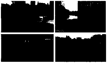 A method for simulating an ecosystem model of a shallow lake