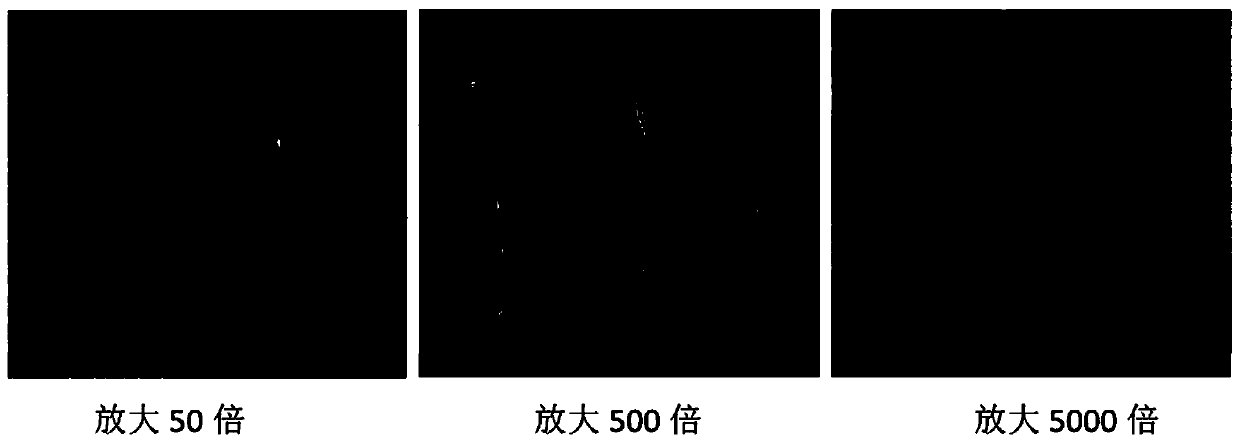 Stainless steel electrolytic passivator, preparation method and application thereof