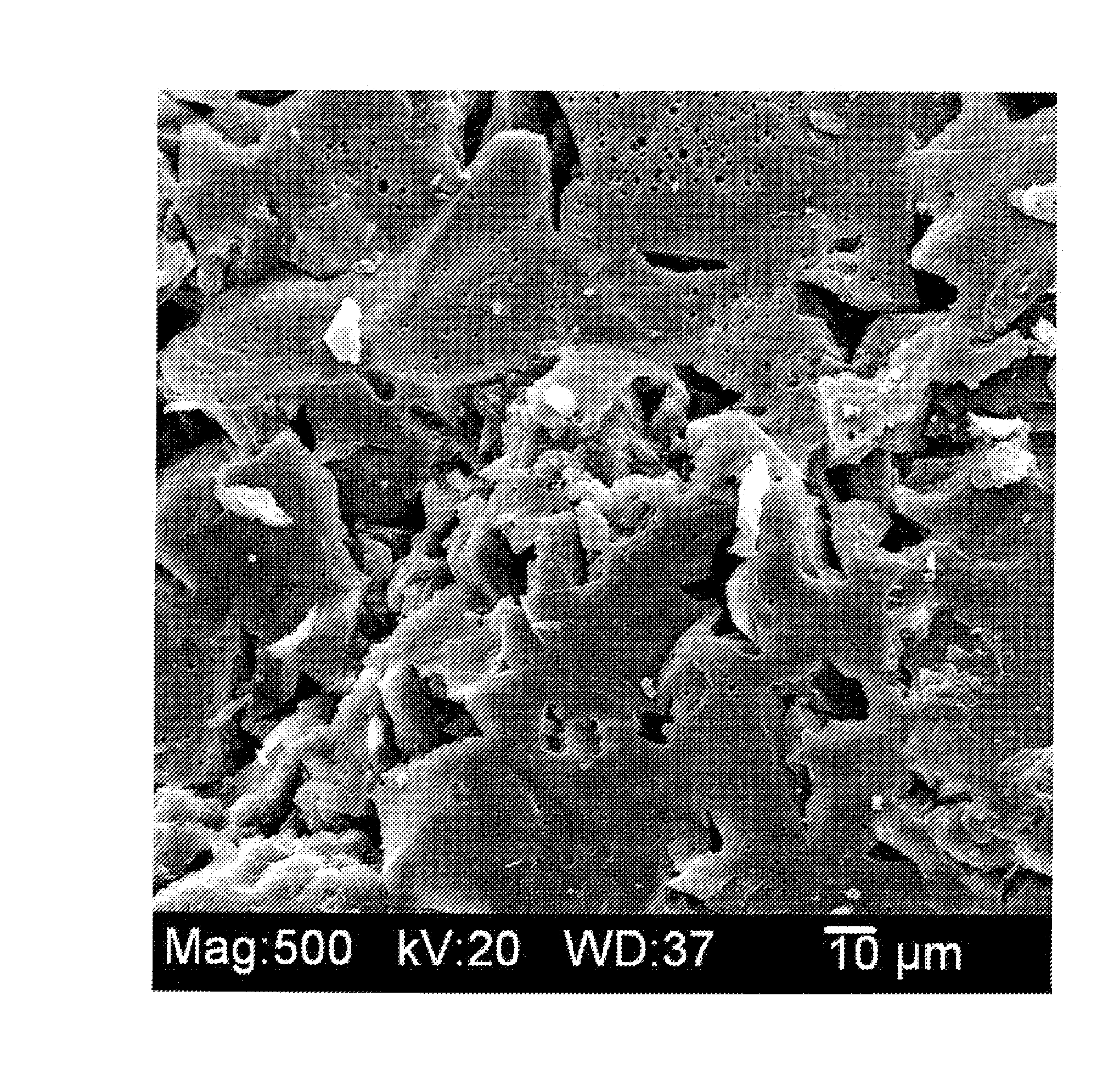 Biphasic nanoporous vitreous carbon material and method of making the same