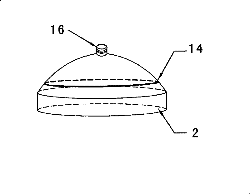 A plant volatile oil extraction device and its application