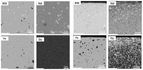 Neodymium-iron-boron permanent magnet material prepared from Dy and preparation method of neodymium-iron-boron permanent magnet material