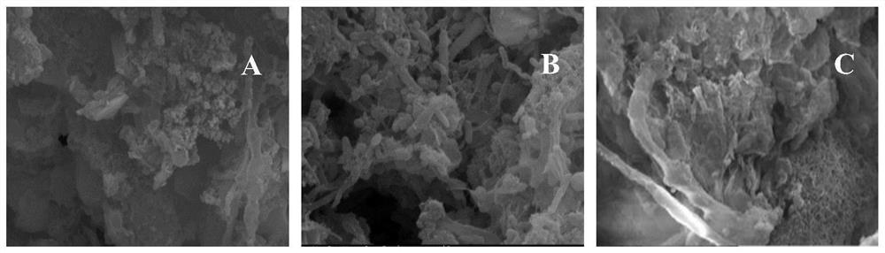 A sludge treatment method for alkaline treatment coupled with a single-chamber microbial electrochemical system