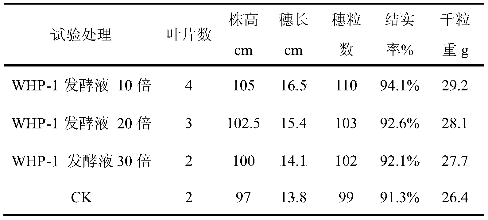 Eupenicillium cinnamopurpureum strain and application thereof