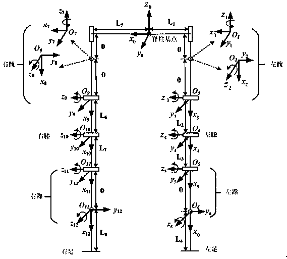 Biped robot kinematic analysis method based on toddler gait extraction