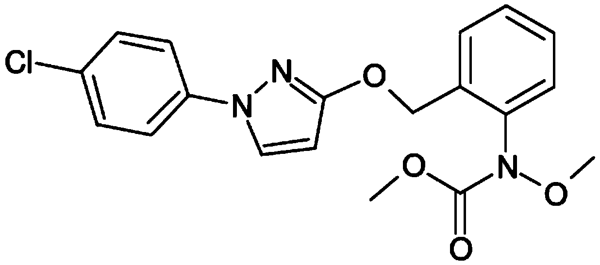 Pesticide controlled release composition, nanoformulation fungicide and preparation method thereof