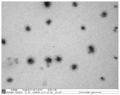 Pesticide controlled release composition, nanoformulation fungicide and preparation method thereof