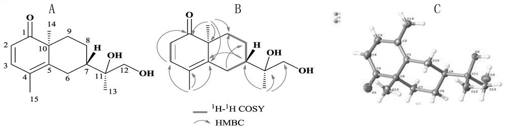 Compound extracted from symbiotic fungus Paracoiothyrium brasiliense and application of compound