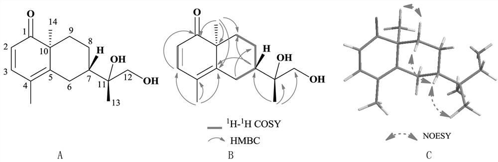 Compound extracted from symbiotic fungus Paracoiothyrium brasiliense and application of compound