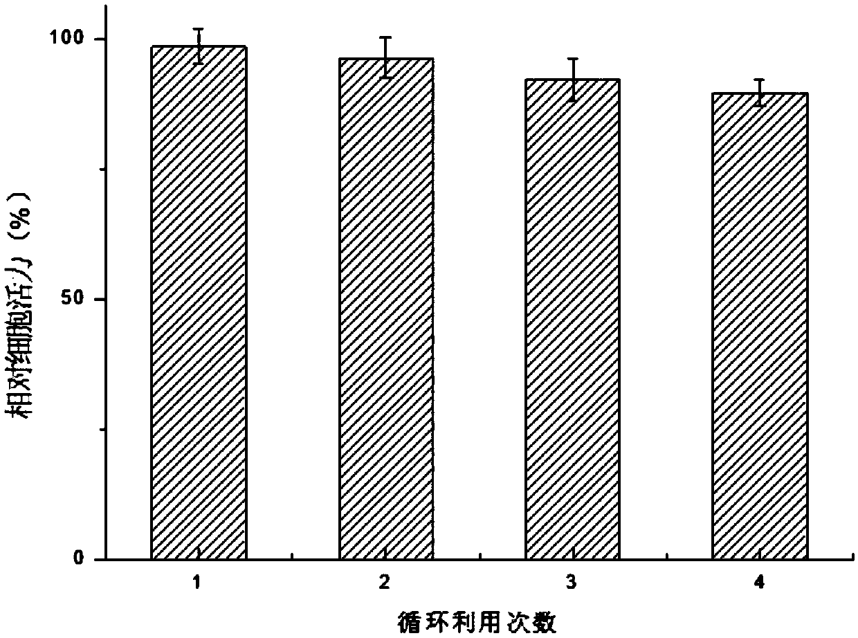 Whole-cell one-step method for synthesizing L-carnosine