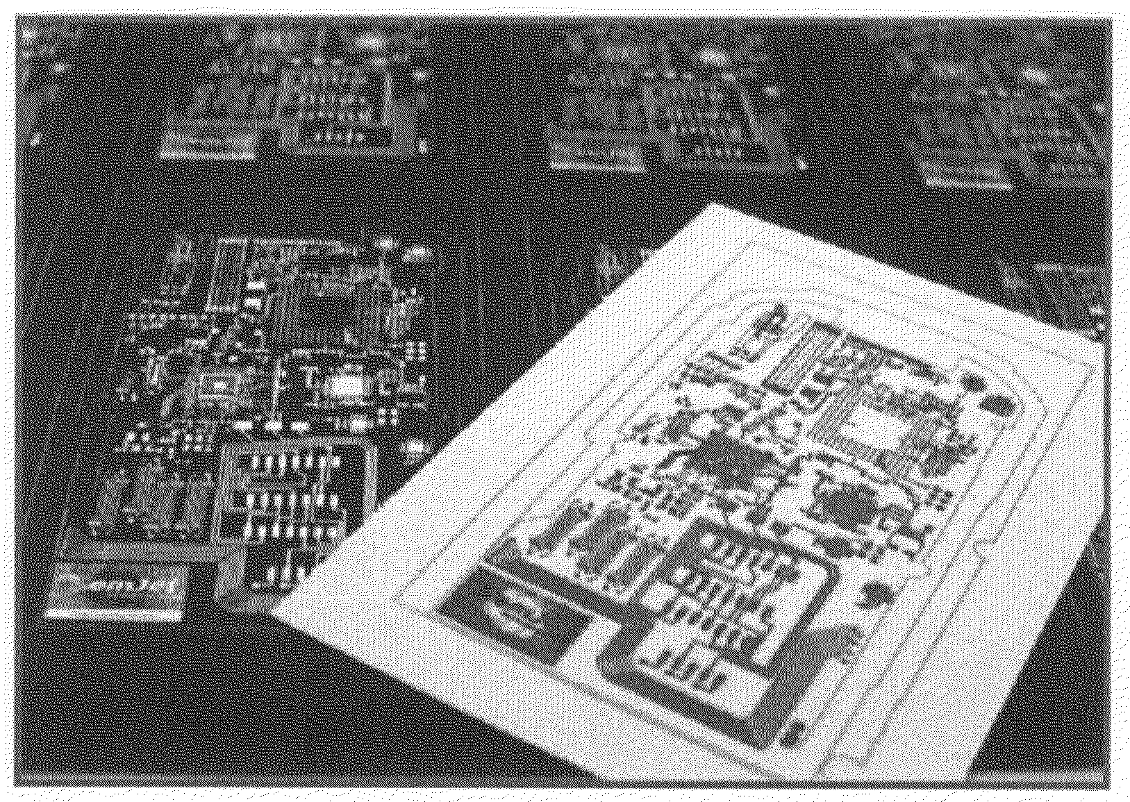 Metal ink composition for inkjet printing