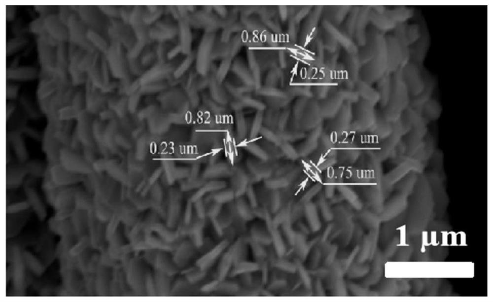 MnCoP catalyst, and preparation and application thereof