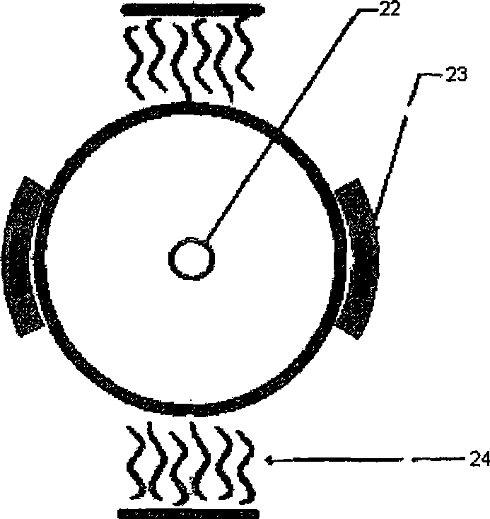 Energy photoconverter for obtaining biofuels