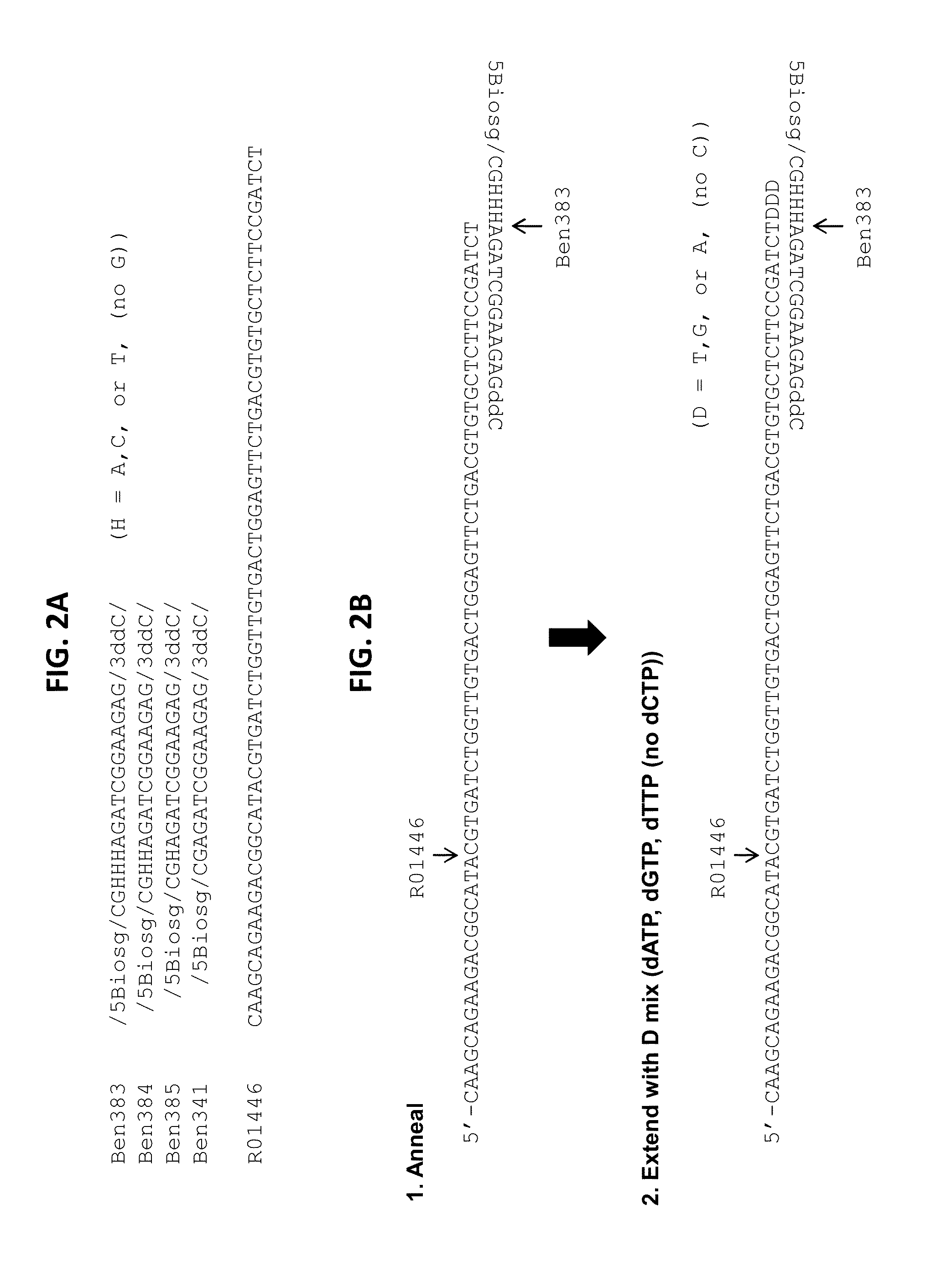 Reduced representation bisulfite sequencing with diversity adaptors