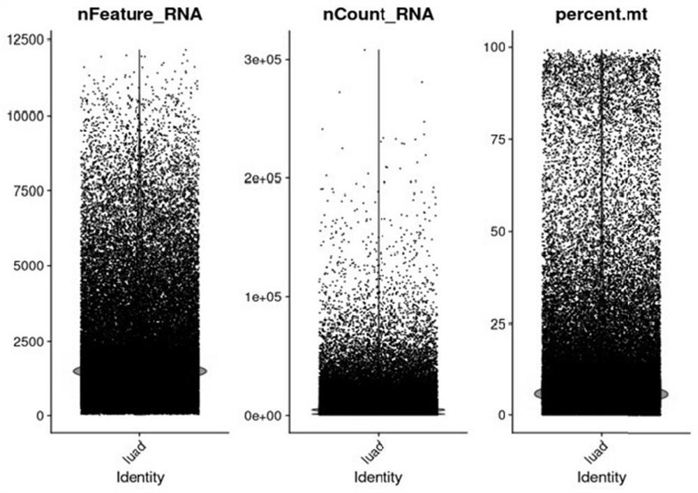 Cancer Associated Pericyte (CAP) subset and preparation method and application thereof