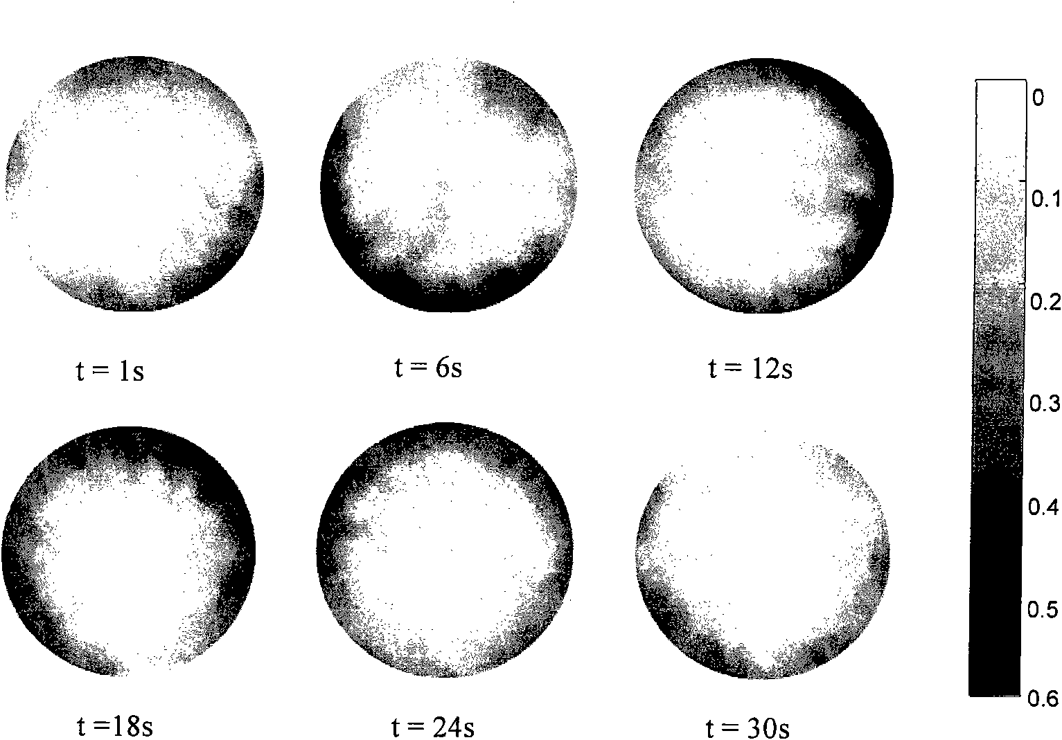 Correcting method aiming at CT ray hardening in multi-phase flow system