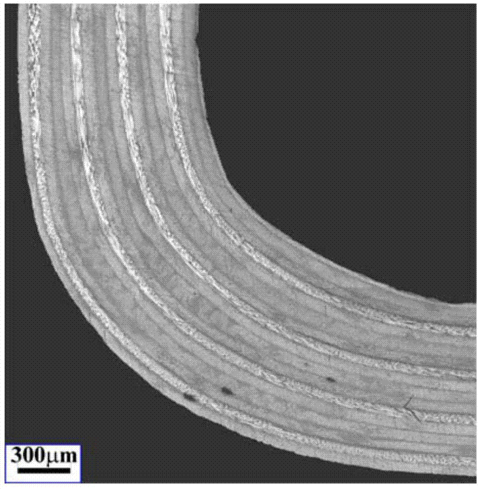 A method for building a fiber-reinforced resin-based composite material r-zone ultrasonic testing model