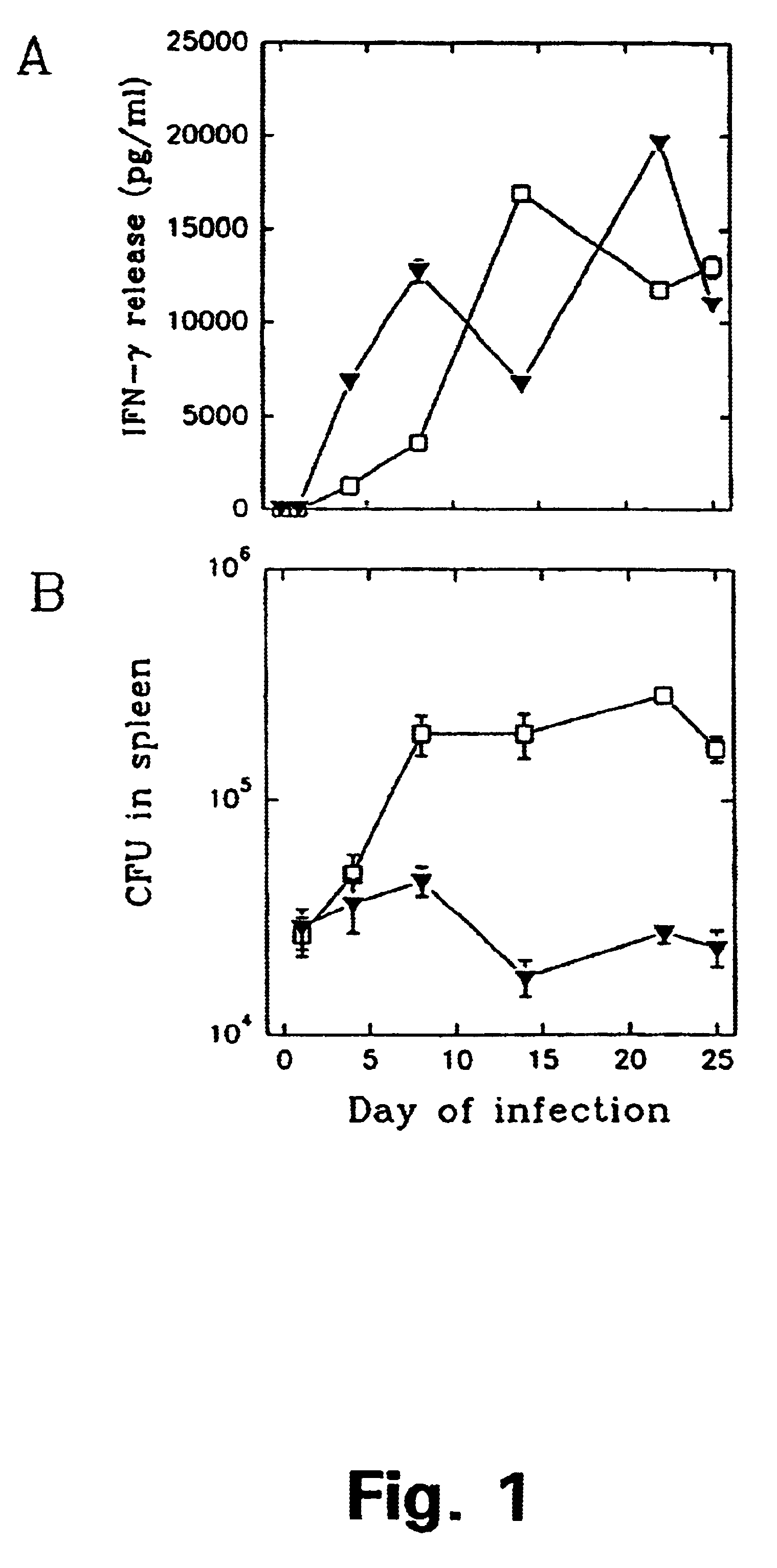 Nucleic acids fragments and polypeptide fragments derived from M. tuberculosis