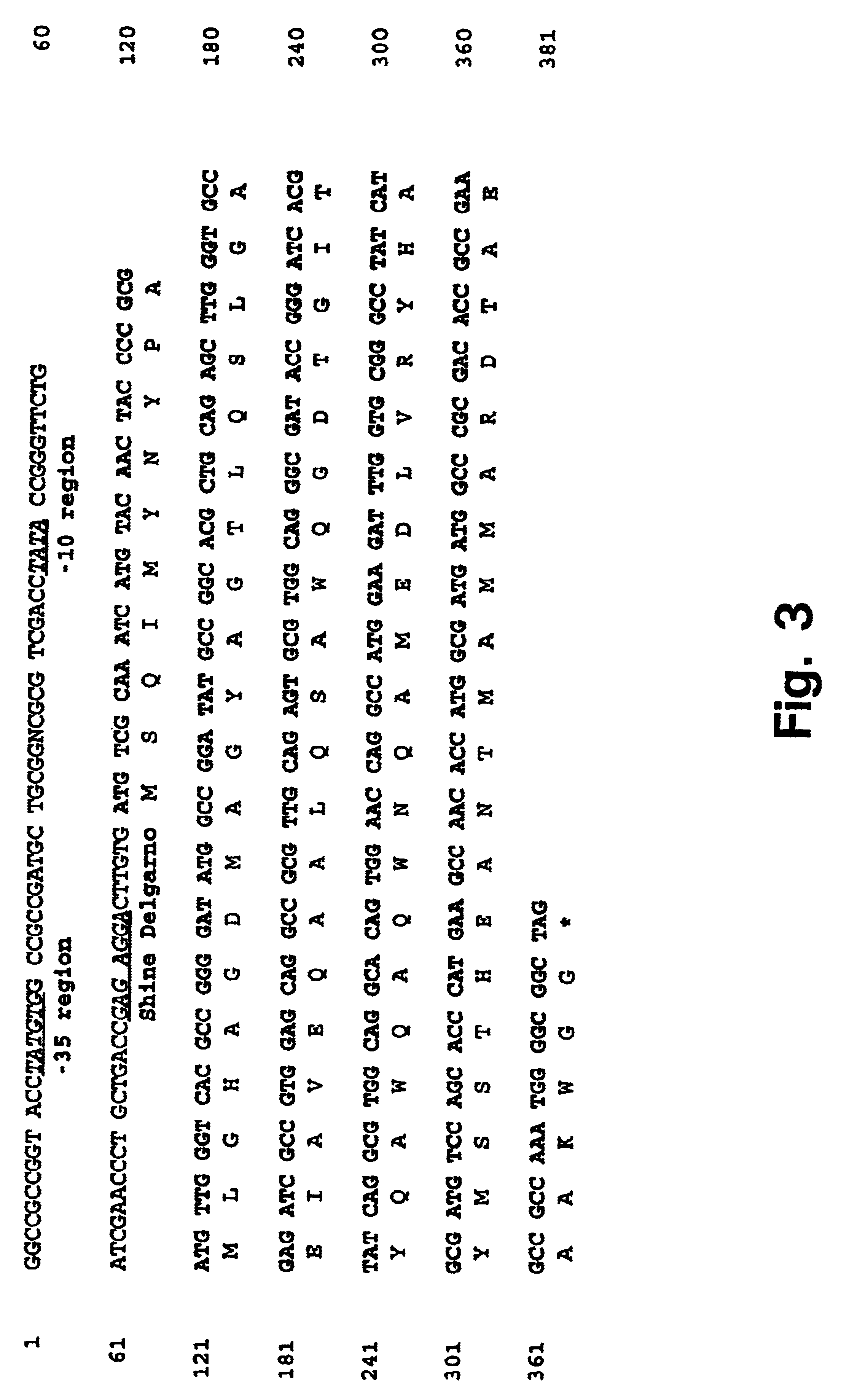 Nucleic acids fragments and polypeptide fragments derived from M. tuberculosis