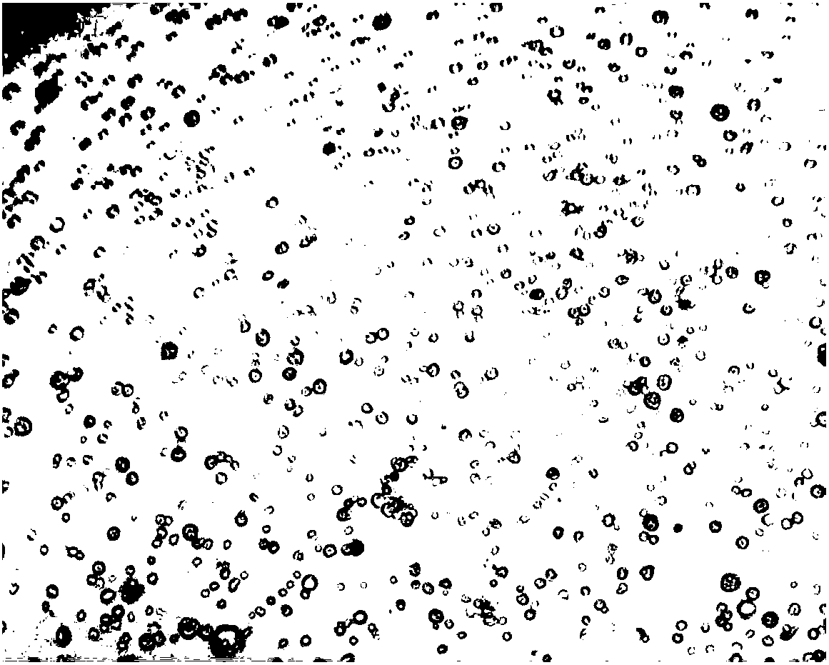 Method for preparing poultry testicular interstitial cells