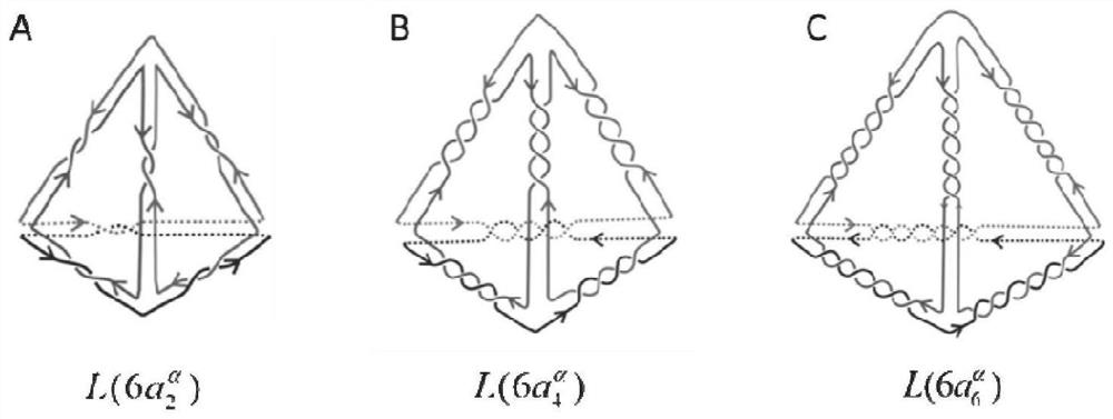 Method for obtaining stable DNA tetrahedron synthesis parameters based on modeling