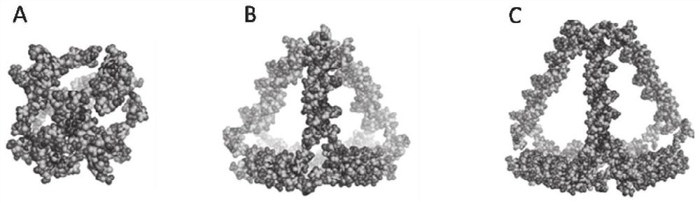 Method for obtaining stable DNA tetrahedron synthesis parameters based on modeling