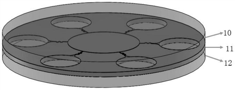 Visual micro-fluidic chip for multi-virus nucleic acid detection, and detection method of visual micro-fluidic chip