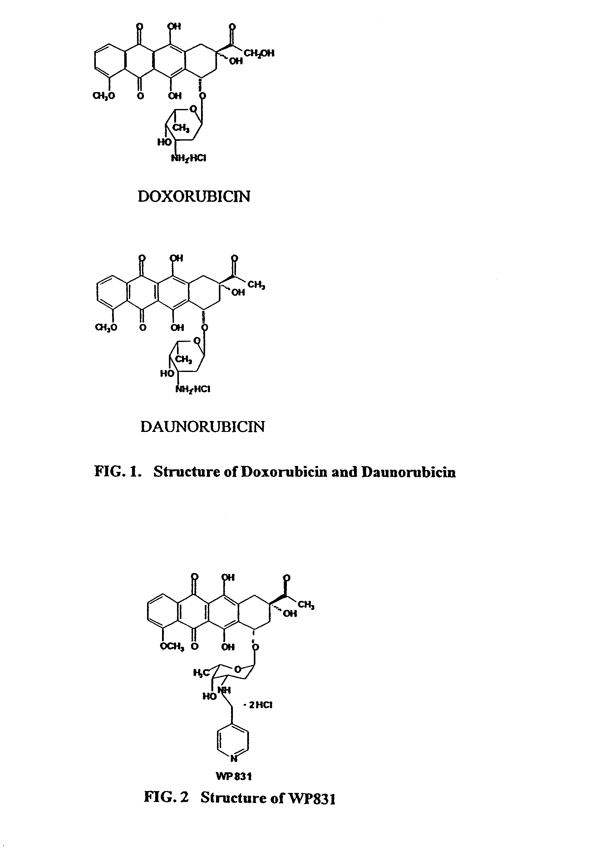 Methods and compositions for the manufacture of C-3' and C-4' anthracycline antibiotics