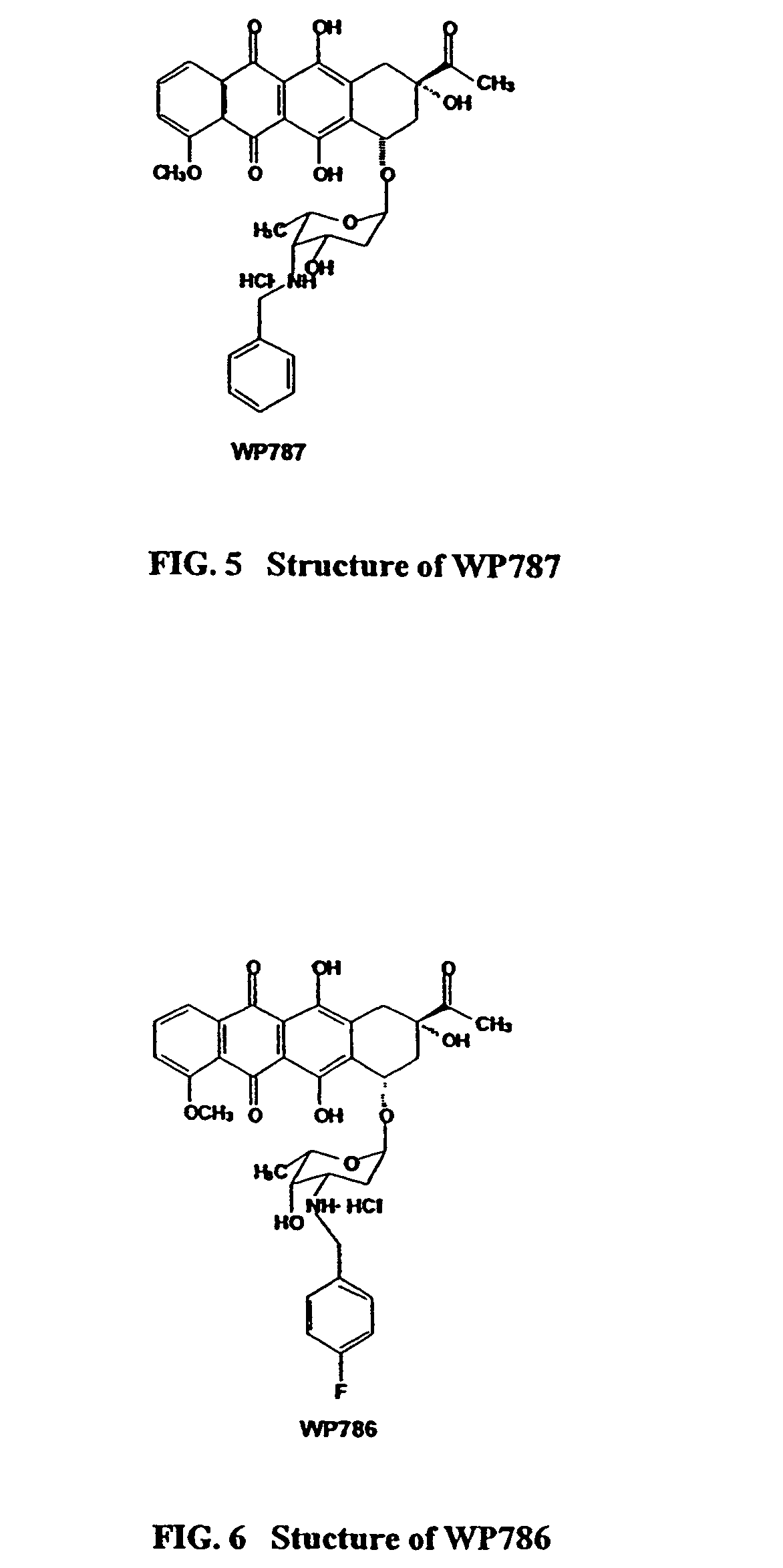 Methods and compositions for the manufacture of C-3' and C-4' anthracycline antibiotics