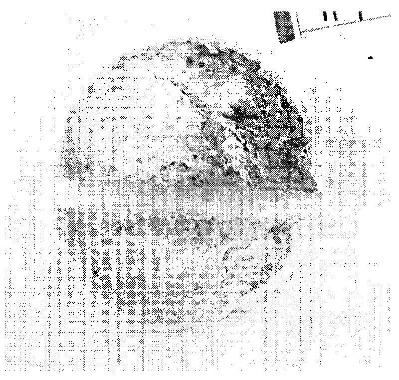 Preparation method of polylactic acid/chitosan/carbon fiber porous supports