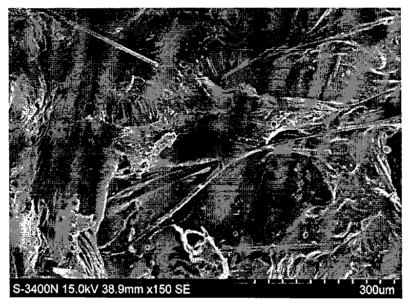 Preparation method of polylactic acid/chitosan/carbon fiber porous supports