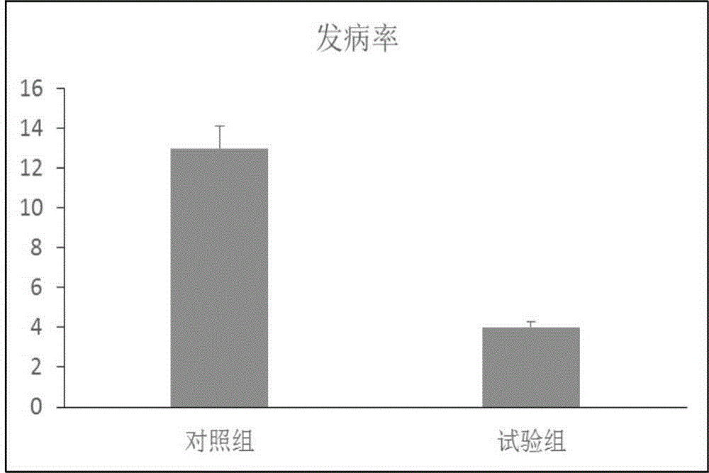 Pig complete fermented feed and preparation method thereof