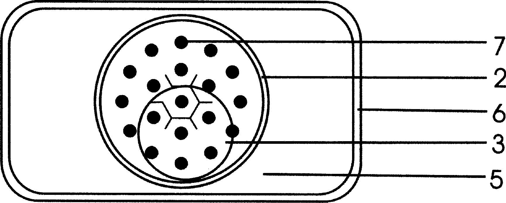 Motion inductor and inducing method