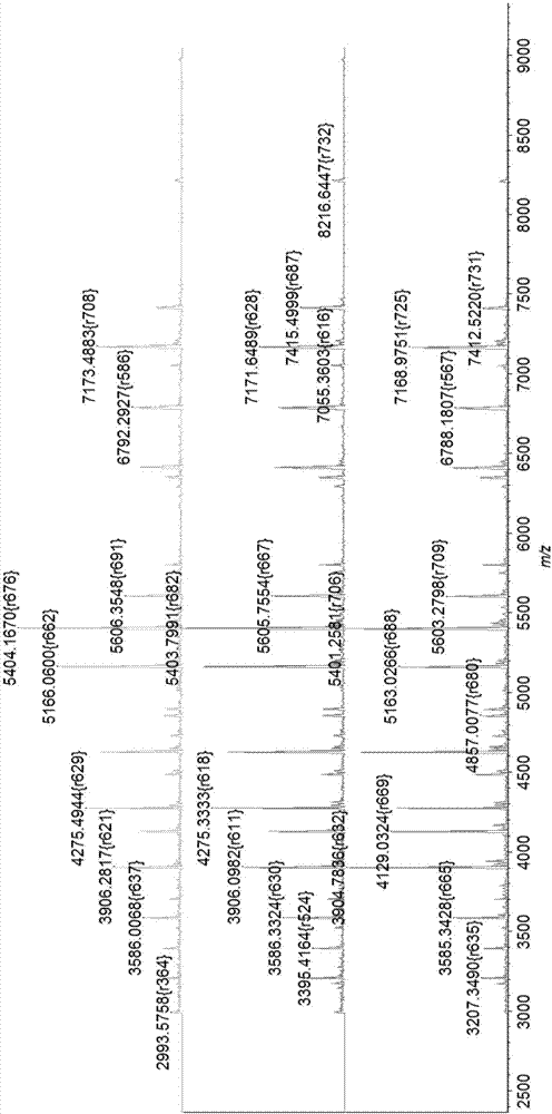 Mass spectrometer substrate target holder and apparatus for biomarker detection