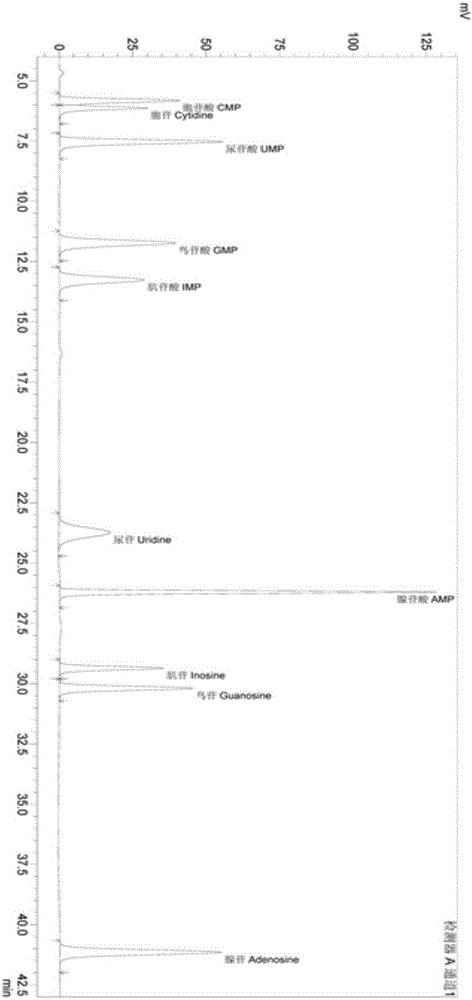 Method for high yield production of aerobic single-cell protein by autolysis process