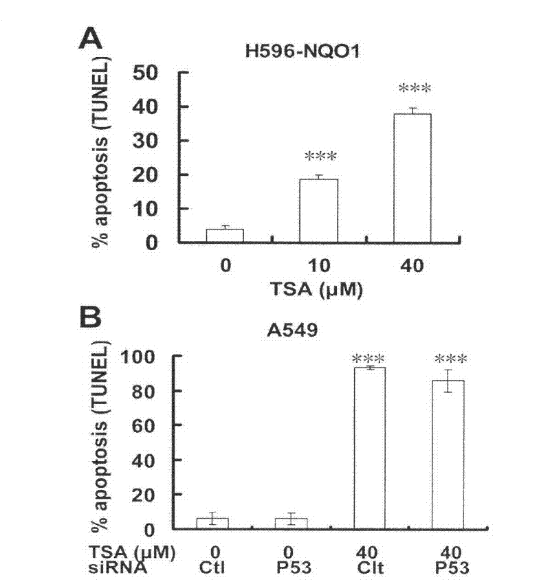 Application of tanshinone IIA in preparation of medicament for treating p53 mutational or deficient tumor