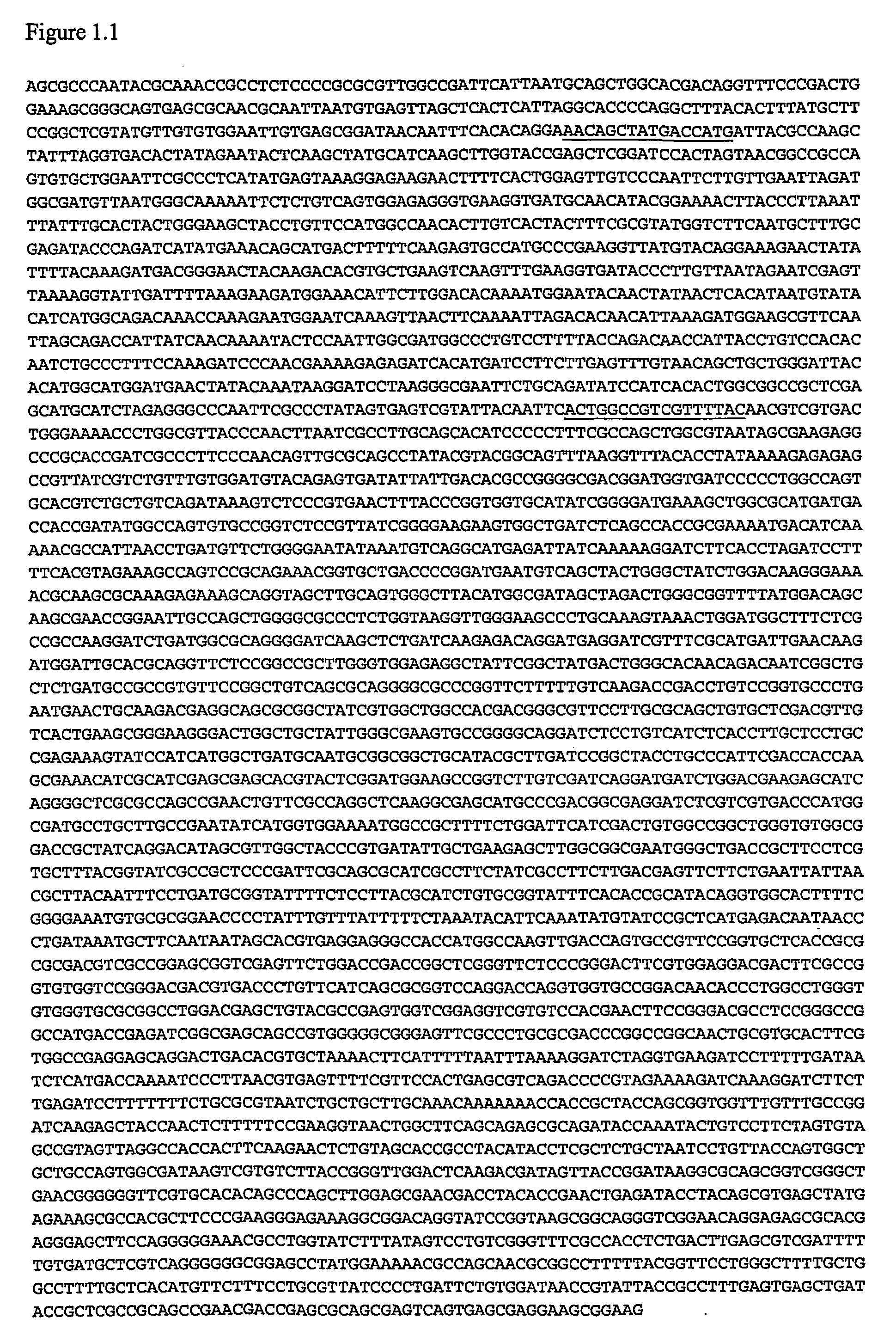 Dna amplification and sequencing in collapsible emulsions