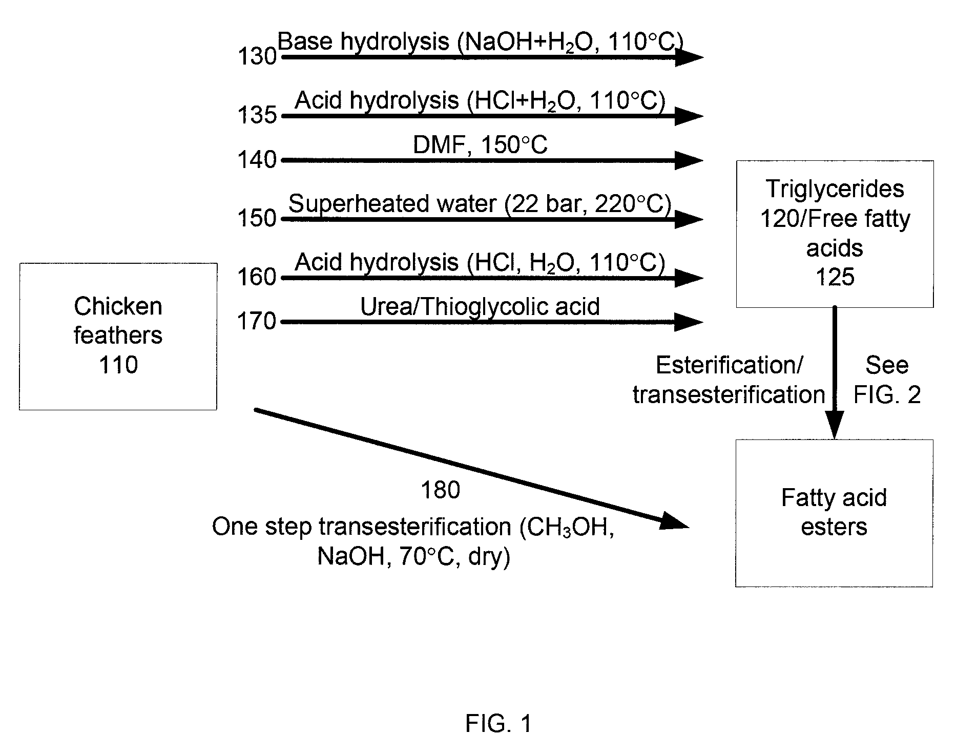 Biofuel production methods